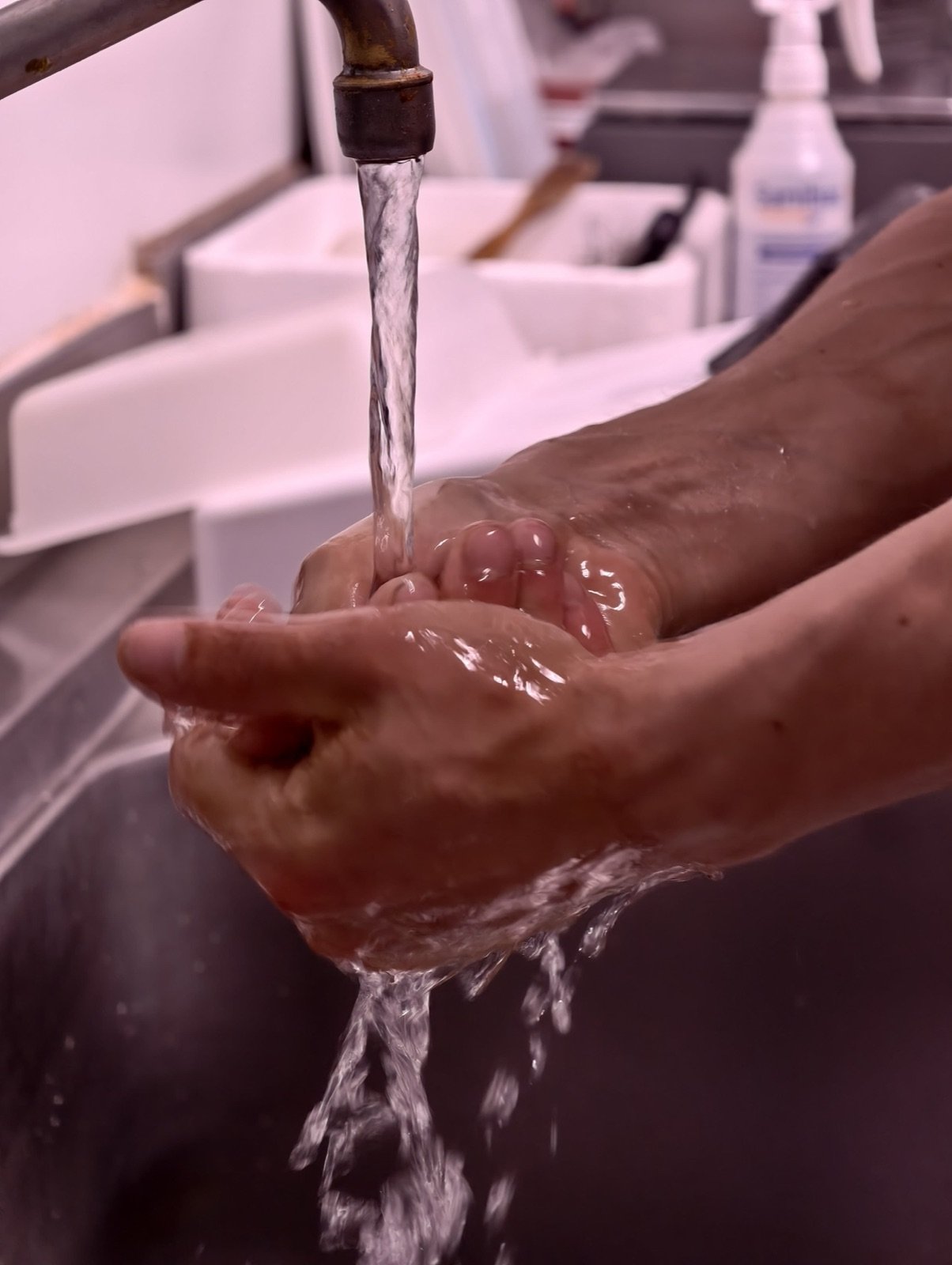 Lavado de manos antes de manipular carne